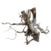 Корни