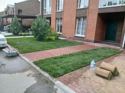 Укладка газона вокруг коттеджа